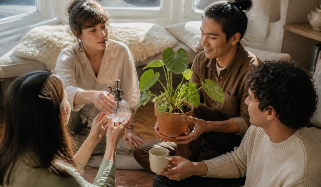 Smart Landscaping and Interior Enhancements: A Practical Guide for Homeowners