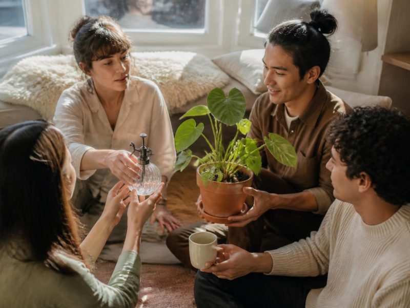 Smart Landscaping and Interior Enhancements: A Practical Guide for Homeowners