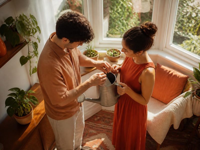 Smart, Sustainable Gardening: Practical Home Improvement for Indoor-Outdoor Harmony